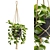 Cascading Pothos Plant Display 3D model small image 2