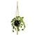 Cascading Pothos Plant Display 3D model small image 4