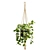 Cascading Pothos Plant Display 3D model small image 5