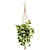 Cascading Pothos Plant Display 3D model small image 6