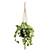 Cascading Pothos Plant Display 3D model small image 7