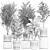 White Pot Collection: Exotic Plants 3D model small image 7