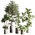 Modern Indoor Plant Set 051 3D model small image 1