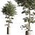 Modern Indoor Plant Set 051 3D model small image 4