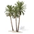 Date Palm Tree 3D Model 3D model small image 1