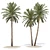 Date Palm Tree 3D Model 3D model small image 2