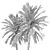 Date Palm Tree 3D Model 3D model small image 5