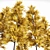 Autumn Ginkgo 3D Tree Models 3D model small image 4