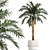 Exotic Palm Set in Modern Pot 3D model small image 1