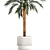 Exotic Palm Set in Modern Pot 3D model small image 3