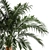 Exotic Palm Set in Modern Pot 3D model small image 4