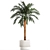 Exotic Palm Set in Modern Pot 3D model small image 6