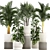 Tropical Plant Collection in Modern White Pots 3D model small image 1