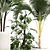 Tropical Plant Collection in Modern White Pots 3D model small image 2