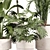 Modern Indoor Plant Set 09 3D model small image 4