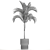 Exotic Phoenix Palm Collection 3D model small image 7