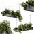  Hanging Plant 636 - Indoor Beauty 3D model small image 1