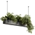  Hanging Plant 636 - Indoor Beauty 3D model small image 3