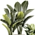 Exotic Plant Collection - Modern White Pot Display 3D model small image 2