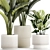 Exotic Plant Collection - Modern White Pot Display 3D model small image 4