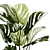 Exotic Plant Collection - Modern White Pot Display 3D model small image 6