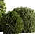 Evergreen Topiary Ball Bush 126 3D model small image 2