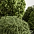 Evergreen Topiary Ball Bush 126 3D model small image 3