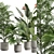 Exotic Indoor Plant Collection Pack 3D model small image 2