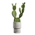 Exotic Indoor Plant Collection Pack 3D model small image 7