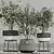 Mediterranean Olive Tree Set 3D model small image 3