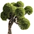 Elegant 3D Tree Render 3D model small image 1