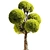 Elegant 3D Tree Rendering 3D model small image 1