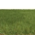 6 Varieties Grass Model 3D model small image 3