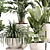 Luxury Indoor Plant Set 013 3D model small image 3