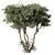 No.65 3D Tree Model Kit 3D model small image 1