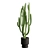 African Milk Tree Cactus Sculpture 3D model small image 2