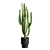 African Milk Tree Cactus Sculpture 3D model small image 4