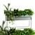 Lush Indoor Plants Box Set 3D model small image 1