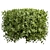 Lush Cylinder Plant Collection 552 3D model small image 5