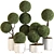 Modern Indoor Plant Set 015 3D model small image 1