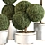 Modern Indoor Plant Set 015 3D model small image 2