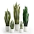 Assorted Sansevieria Houseplants 3D model small image 1