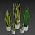 Assorted Sansevieria Houseplants 3D model small image 4