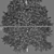 Realistic 1650mm Green Fir Tree 3D model small image 4