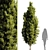 Title: Lush Bush Tree Render 3D model small image 1