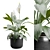 Tropical Peace Lily Plant Decor 3D model small image 1