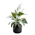 Tropical Peace Lily Plant Decor 3D model small image 6