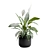 Tropical Peace Lily Plant Decor 3D model small image 7