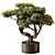 Bonsai Plant 646 - Indoor 3D model small image 1