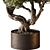 Bonsai Plant 646 - Indoor 3D model small image 3